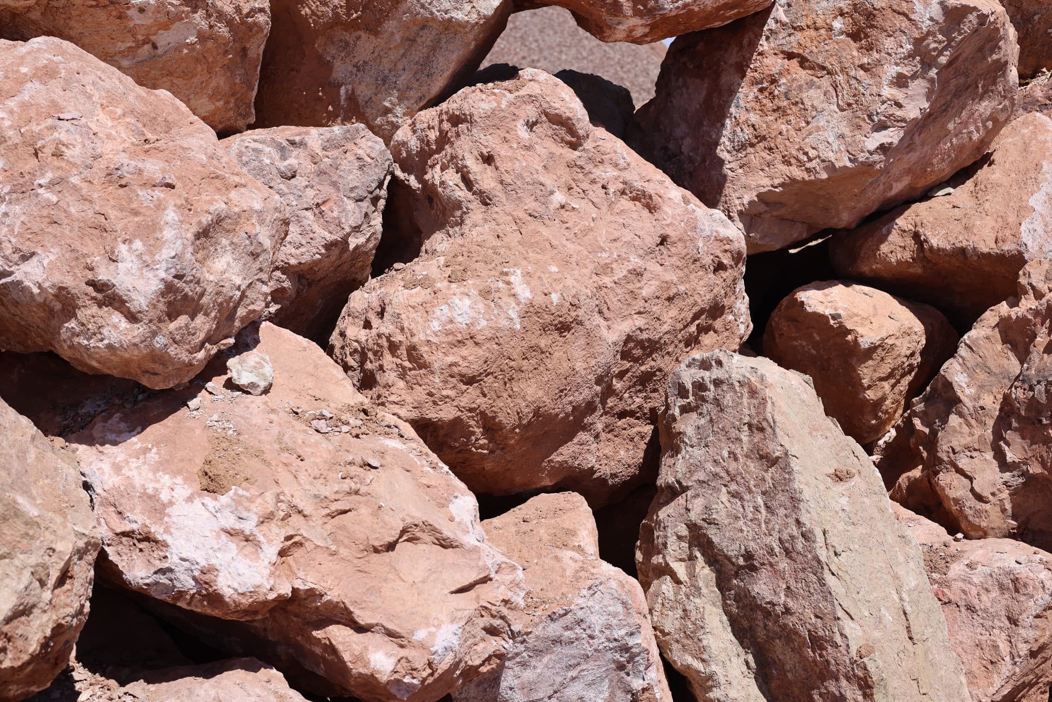 Arizona Tan 3" — photo 2