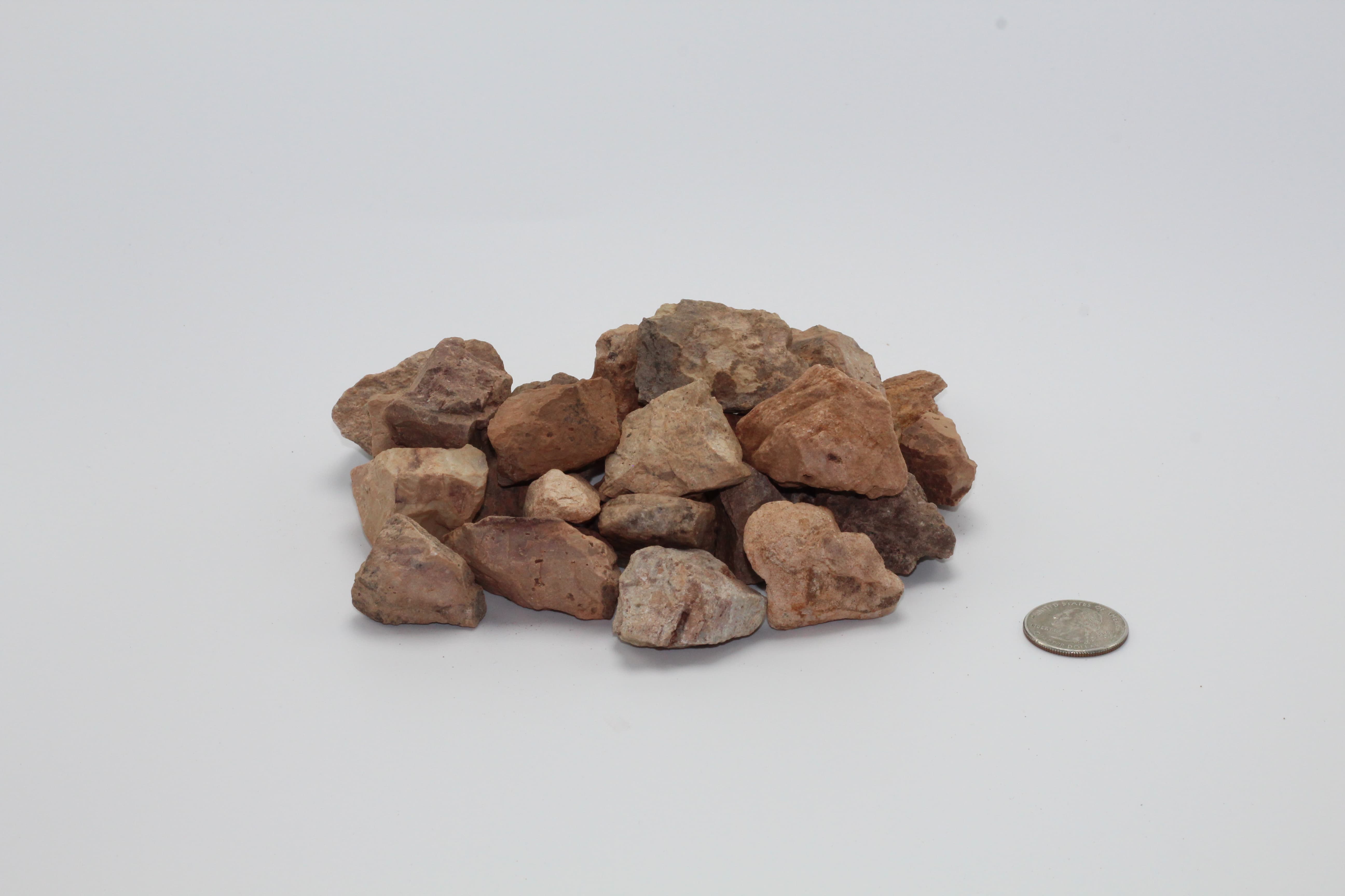 Arizona Tan 3/4" — photo 1