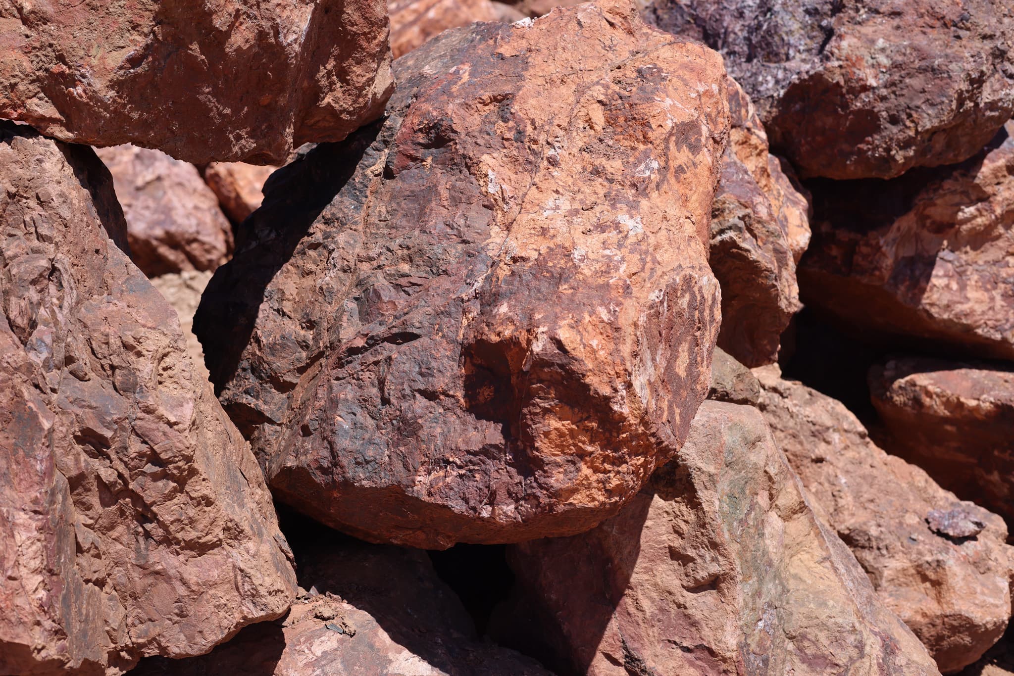 Arizona Red 3" — photo 2